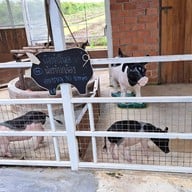 บรรยากาศ แกะ กะ บัว ฟาร์มคาเฟ่ & เรสเตอร์รองค์