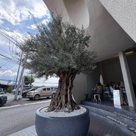 160 pastry&specialty coffee 160 pastry&specialty coffee