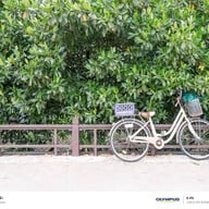 ตลาดน้ำบางคล้า