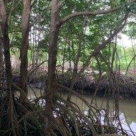 เฌอ-บุรี โฮมสเตย์