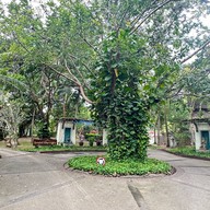 สปริงฟิลด์ วิลเลจ กอล์ฟ แอนด์ สปา