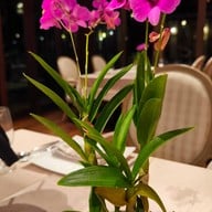 Raya Restaurant & wine bistro / Raya Coffee