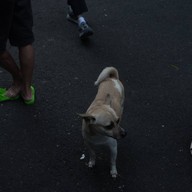 บรรยากาศ Ben thanh Market