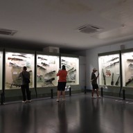 บรรยากาศ The war Remnants Museum