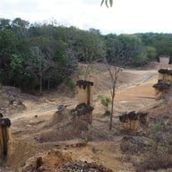 แพะเมืองผี