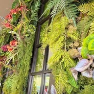 Café Amazon - CC2936 ปตท. Rest Area ทางด่วนบางนาขาเข้า