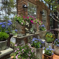 ตำระกา -