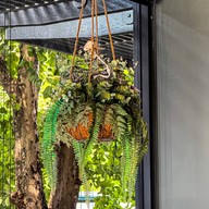 Café Amazon - CC2936 ปตท. Rest Area ทางด่วนบางนาขาเข้า