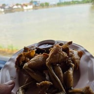 ร่มไม้ริมนา พุทธมณฑลสาย5