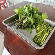 โฮงลาบครัวไทยลาดกระบัง