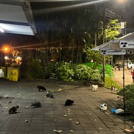 น้ำฝรั่งสวนลุม-สวนลุมพินี