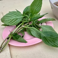 โฮงลาบครัวไทยลาดกระบัง