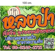 หลงป่า สายปัญญา