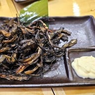 Torayoshi อารีย์