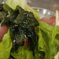 เมนูของร้าน เปียงยาง ปิ้งย่างเกาหลี 219 ที่สุดในศาลายา pyongyangBBQ 평양 ศาลายา