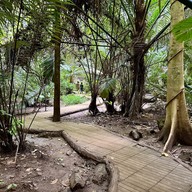 หุบป่าตาด