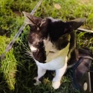 ลานหมูกระทะ บ้านคุณย่า