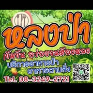 หลงป่า สายปัญญา