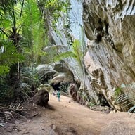 หุบป่าตาด