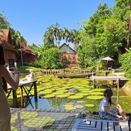 บรรยากาศ Ma Doo Bua Phuket