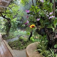 ฆฤณ คาเฟ่