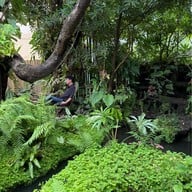 ฆฤณ คาเฟ่