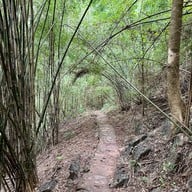 ถ้ำพุหวาย