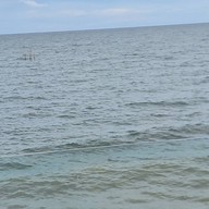 KLER - เกลอ สุขุมวิท 101/1