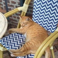 Brioche from heaven สีลม