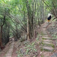 ถ้ำพุหวาย