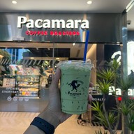 เมนูของร้าน Pacamara ตึกภูมิสิริ รพ.จุฬาลงกรณ์