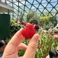 Haru Miki - Flora Exhibition Hall