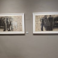 หอศิลป์ร่วมสมัยอาร์เดล