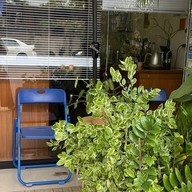 ระหว่างทาง