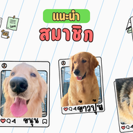 ร้านขนมจีนบ้านดู่