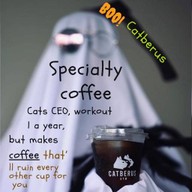 Catberus specialty coffee