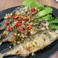 SWAN specialty Coffee & Bistro