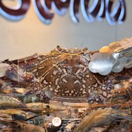 รสเด็ดอินเตอร์บุฟเฟ่ต์ กุ้งกระทะ+ทะเลเผา มีนบุรี