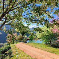 บรรยากาศ ไร่ชา 2000 ดอยอ่างขาง