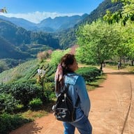 บรรยากาศ ไร่ชา 2000 ดอยอ่างขาง