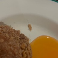 เมนูของร้าน KFC ปตท.ยูพาร์ค มหาสารคาม