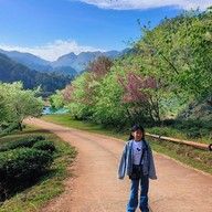 บรรยากาศ ไร่ชา 2000 ดอยอ่างขาง