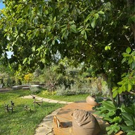 MeFarmสุขCafe -