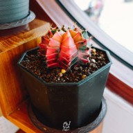 มามะ ปังปิ้ง ตลาดเฟิร์วัน ตลาดพลู