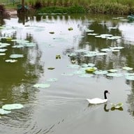 The Deck at Midwinter Khao Yai