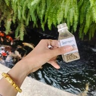 วัดสาขลา