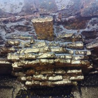 วัดสาขลา