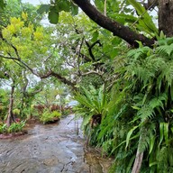 ไร่ปิ่นคำวัฒนา