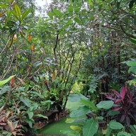 ไร่ปิ่นคำวัฒนา