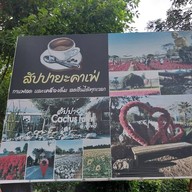 สวนสัปปายะ Cactus Farm